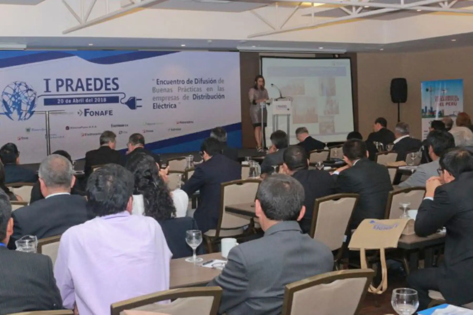 Evento tiene la finalidad de difundir e implementar las mejores prácticas en el negocio de distribución eléctrica.