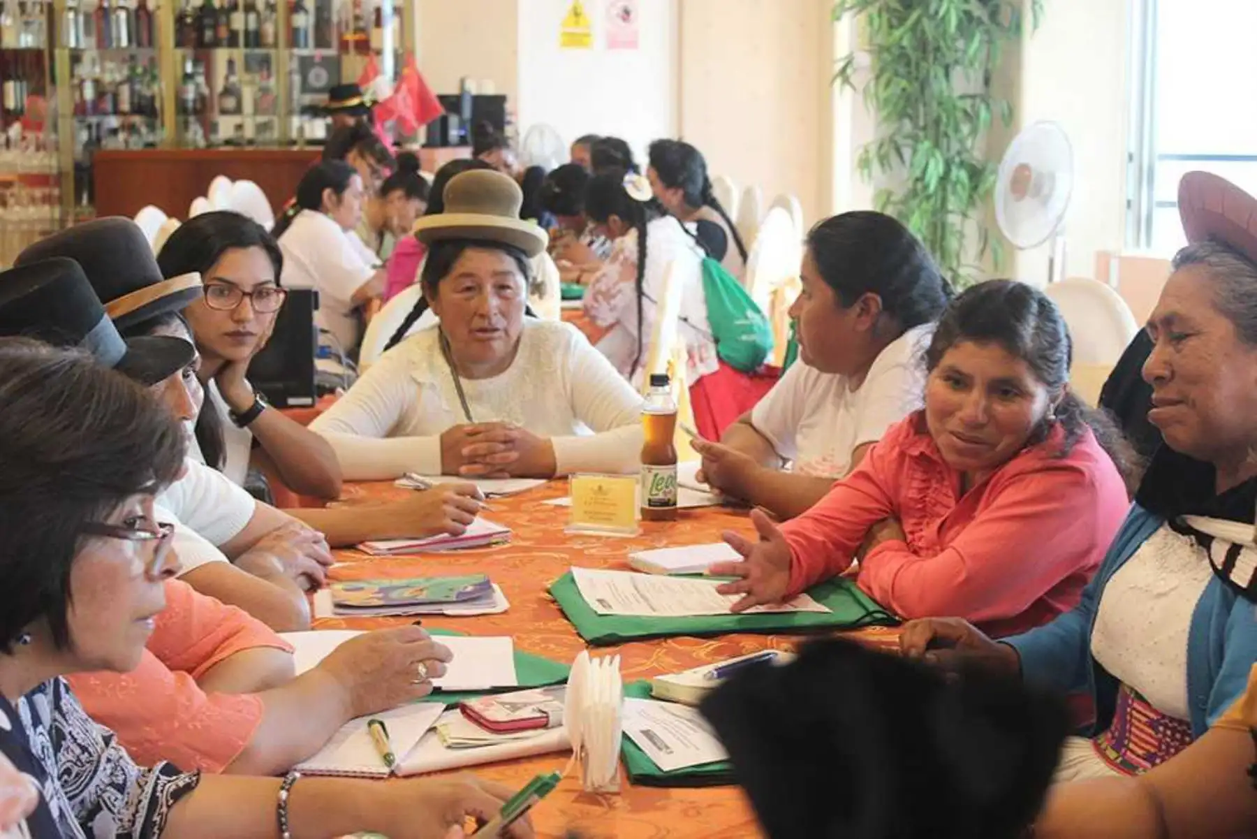 Lideresas de diversas organizaciones representativas de las comunidades indígenas y campesinas de diez regiones de la sierra y selva de nuestro país, fueron capacitadas sobre los avances y beneficios del proceso de titulación de tierras rurales que ejecuta el Ministerio de Agricultura y Riego (Minagri) a través de la Unidad Ejecutora Gestión de Proyectos Sectoriales (UEGPS).