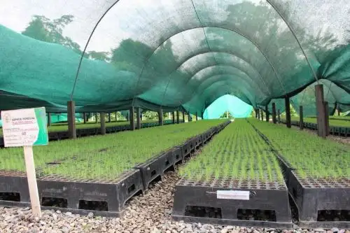 Para la recuperación de suelos se han empleado el cultivo de plantas nativas del lugar respetando la biodiversidad..
