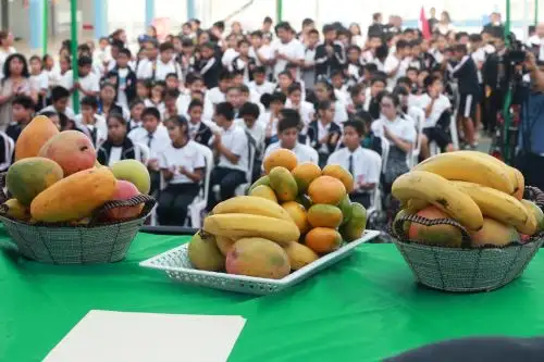 Foto: ANDINA/Norman Córdova.