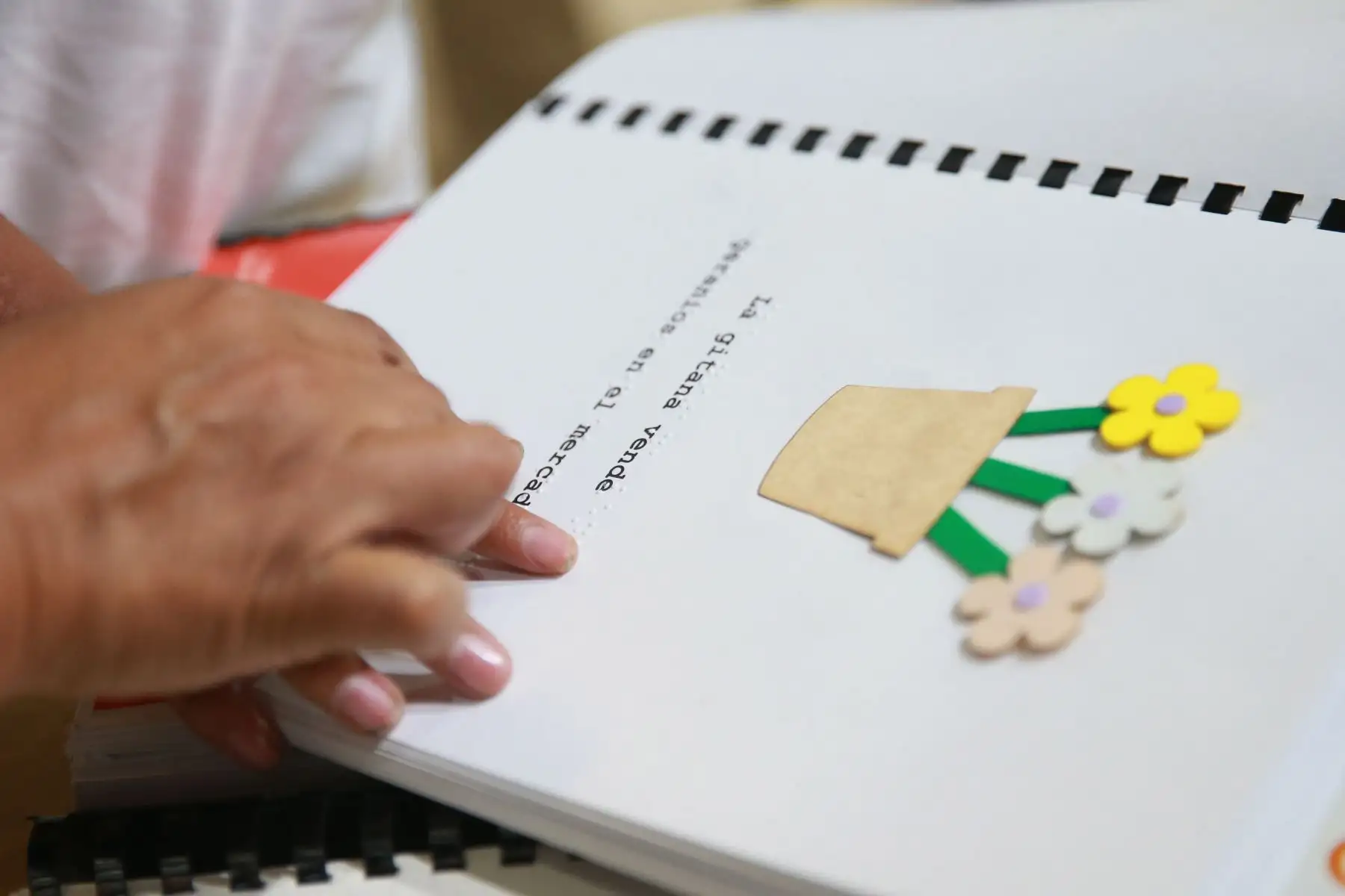 Municipio de Lima pone a disposición libros en formato braille en bibliotecas del Metropolitano. Foto: ANDINA/Vidal Tarqui