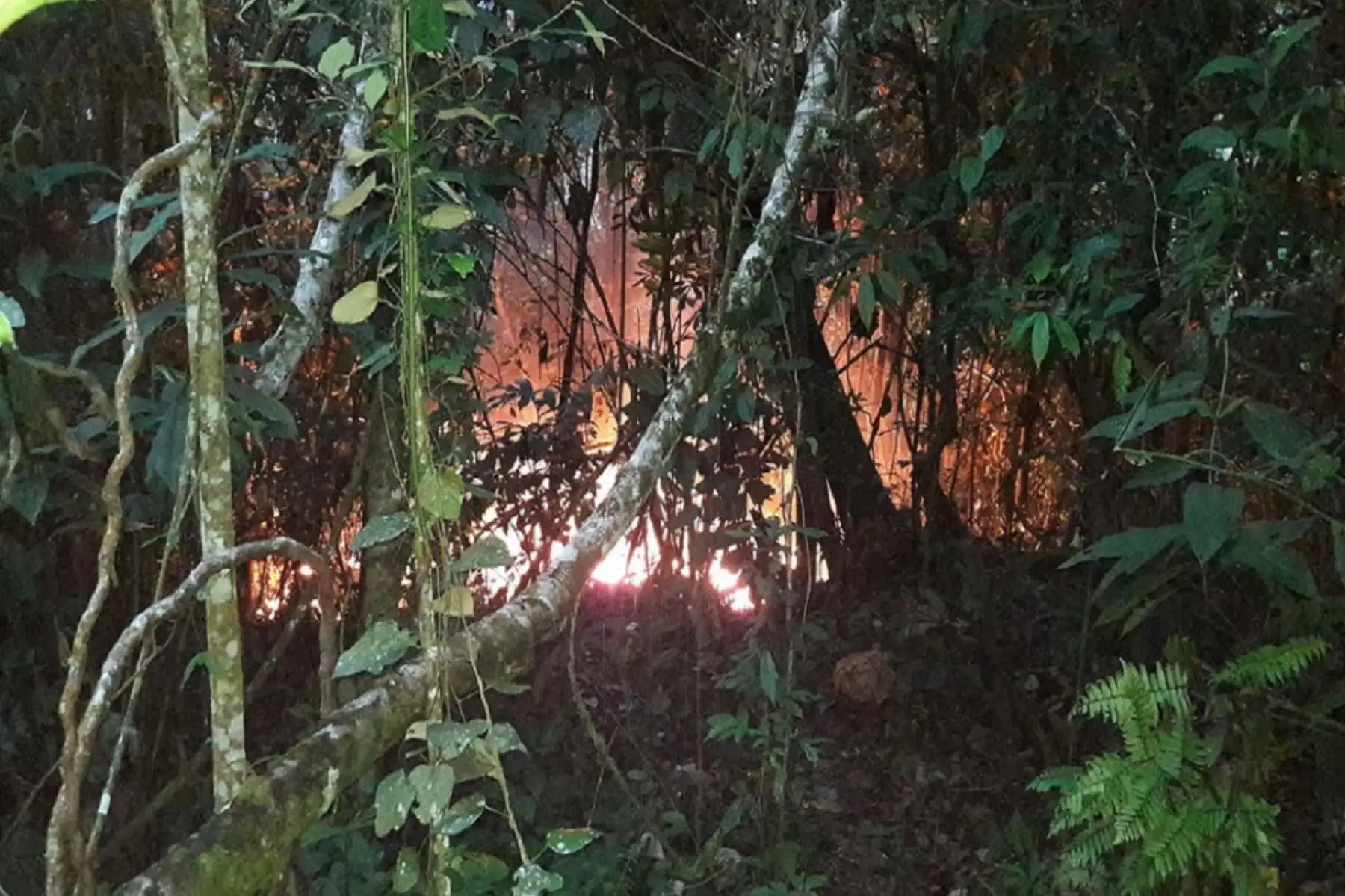 Policía destruye laboratorio de clorhidrato de cocaína en el Vraem