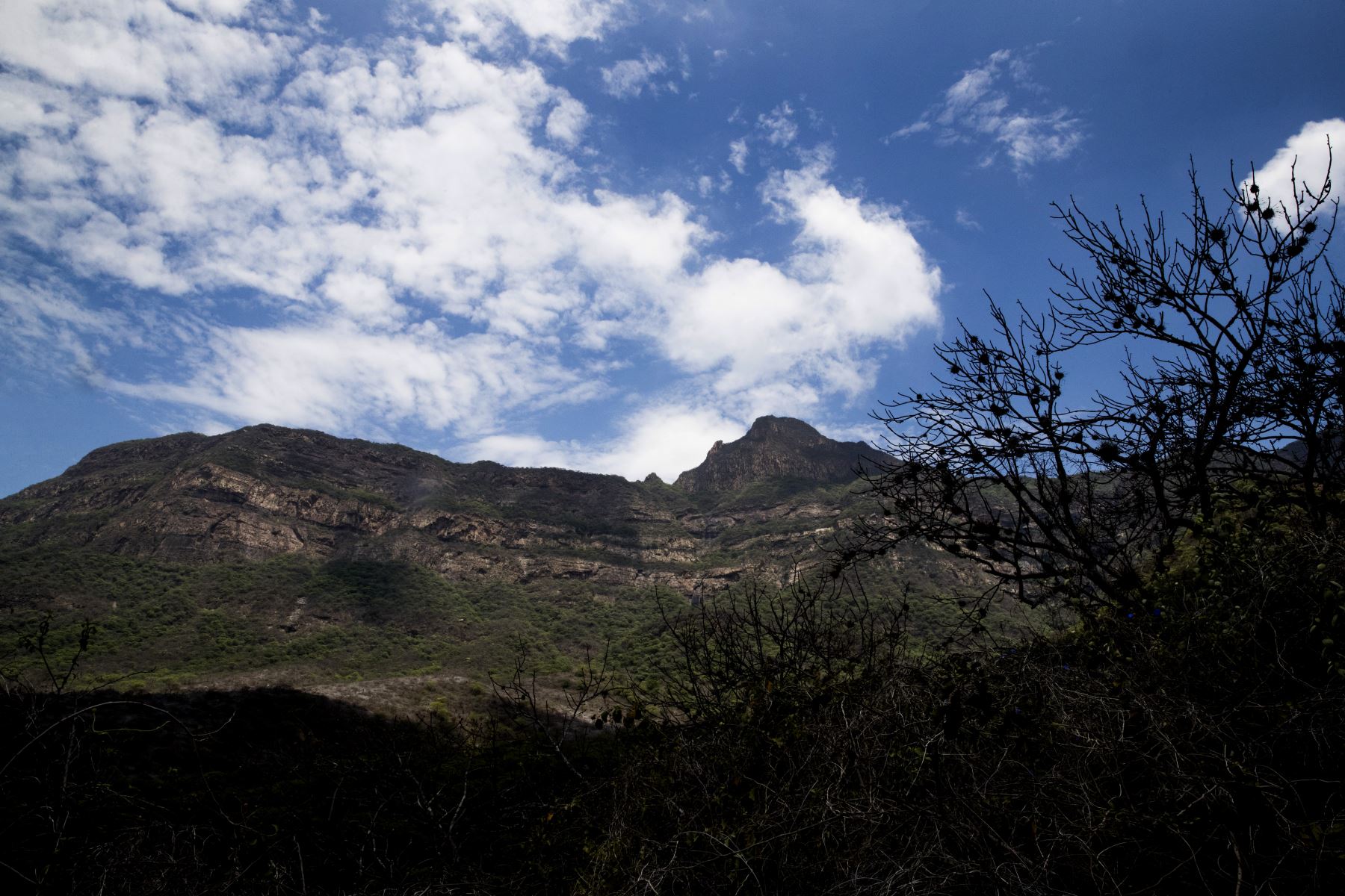 La reserva ecológica Chaparrí está conformada por 34,412 hectáreas y es la primera área de conservación privada creada en el Perú. Foto: ANDINA/Carlos Lezama.