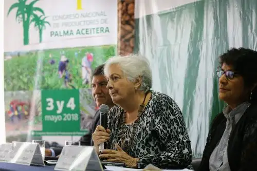ANDINA/Luis Iparraguirre