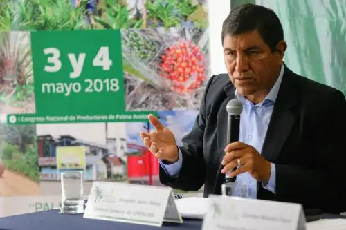 Gerente general de la Junta Nacional de Palma Aceitera del Perú, Gregorio Saénz. ANDINA/Luis Iparraguirre