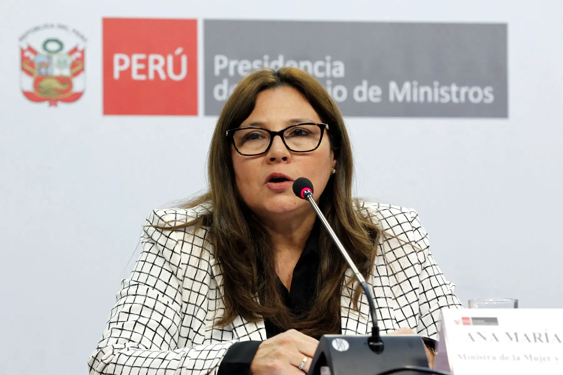 Foto: ANDINA/Dante Zegarra.