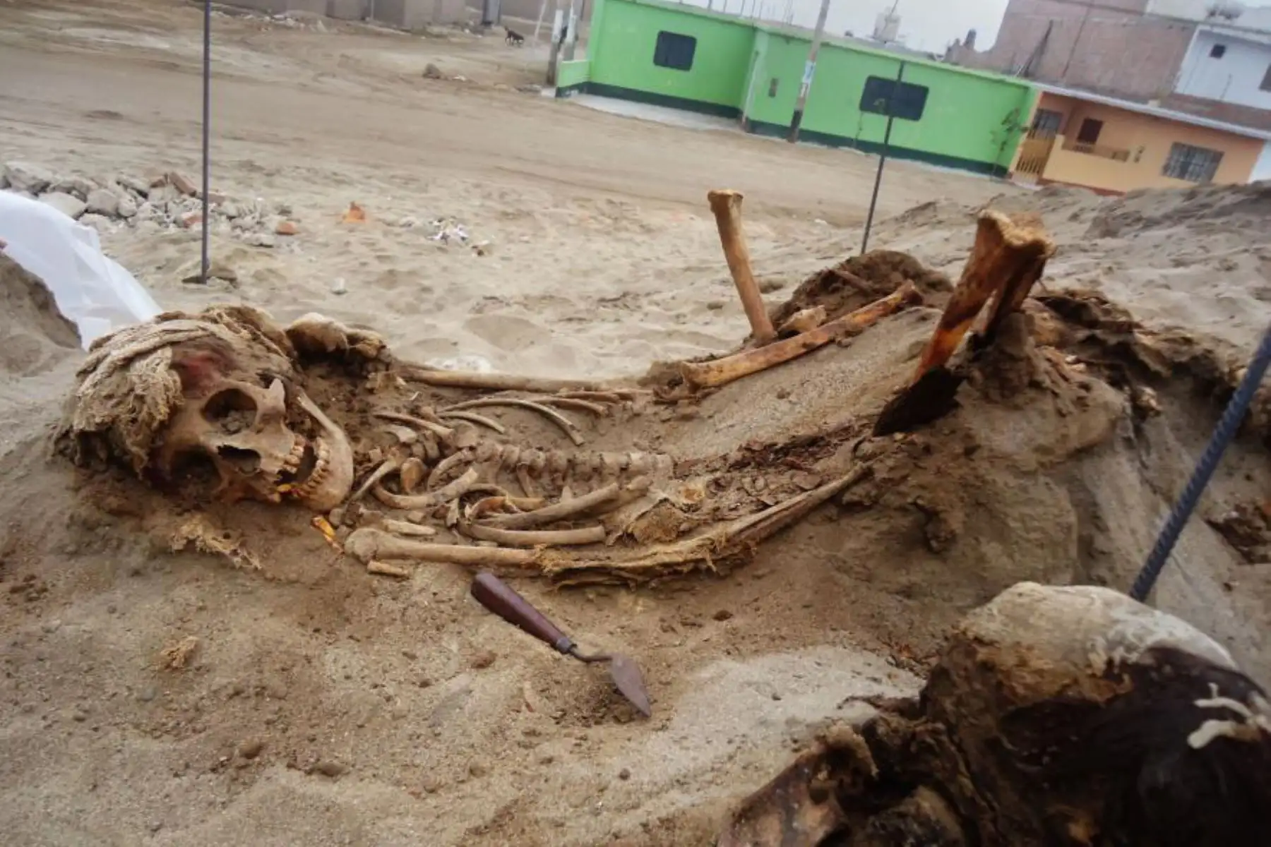El que es considerado el mayor sacrificio masivo de niños en América y probablemente de la historia mundial, acontecido hace 550 años, ha sido descubierto por arqueólogos de la Universidad Nacional de Trujillo y de la Universidad de Tulane, en la provincia de Trujillo, región La Libertad. Foto: Gabriel Prieto/National Geographic