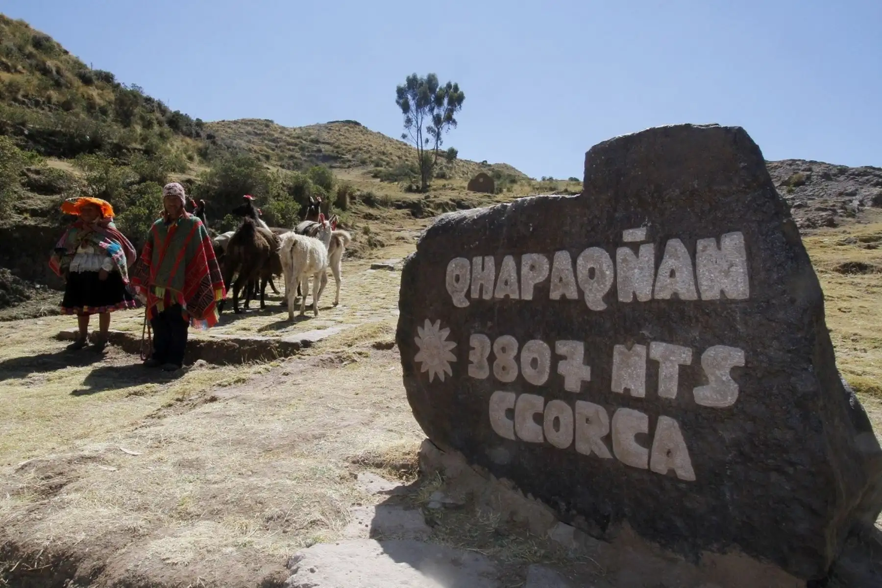 La Municipalidad de Cusco implementó proyecto que impulsa la visita turística gratuita al Camino Inca y otros circuitos turísticos. ANDINA/Percy Hurtado