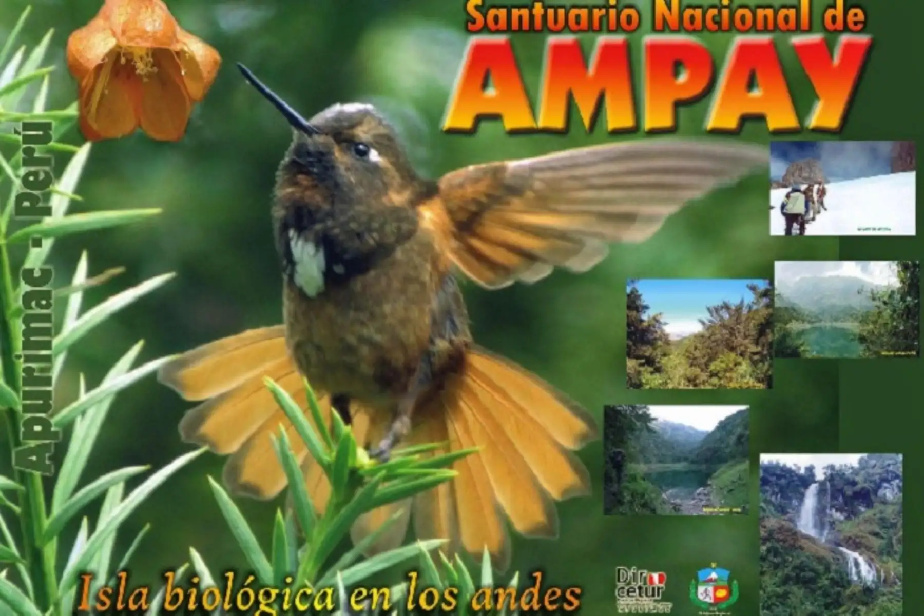 Desde el  pasado mes de julio, el destino Abancay cuenta oficialmente con el sello Safe Travels que lo acredita como bioseguro para el turismo nacional e internacional.ANDINA/Difusión