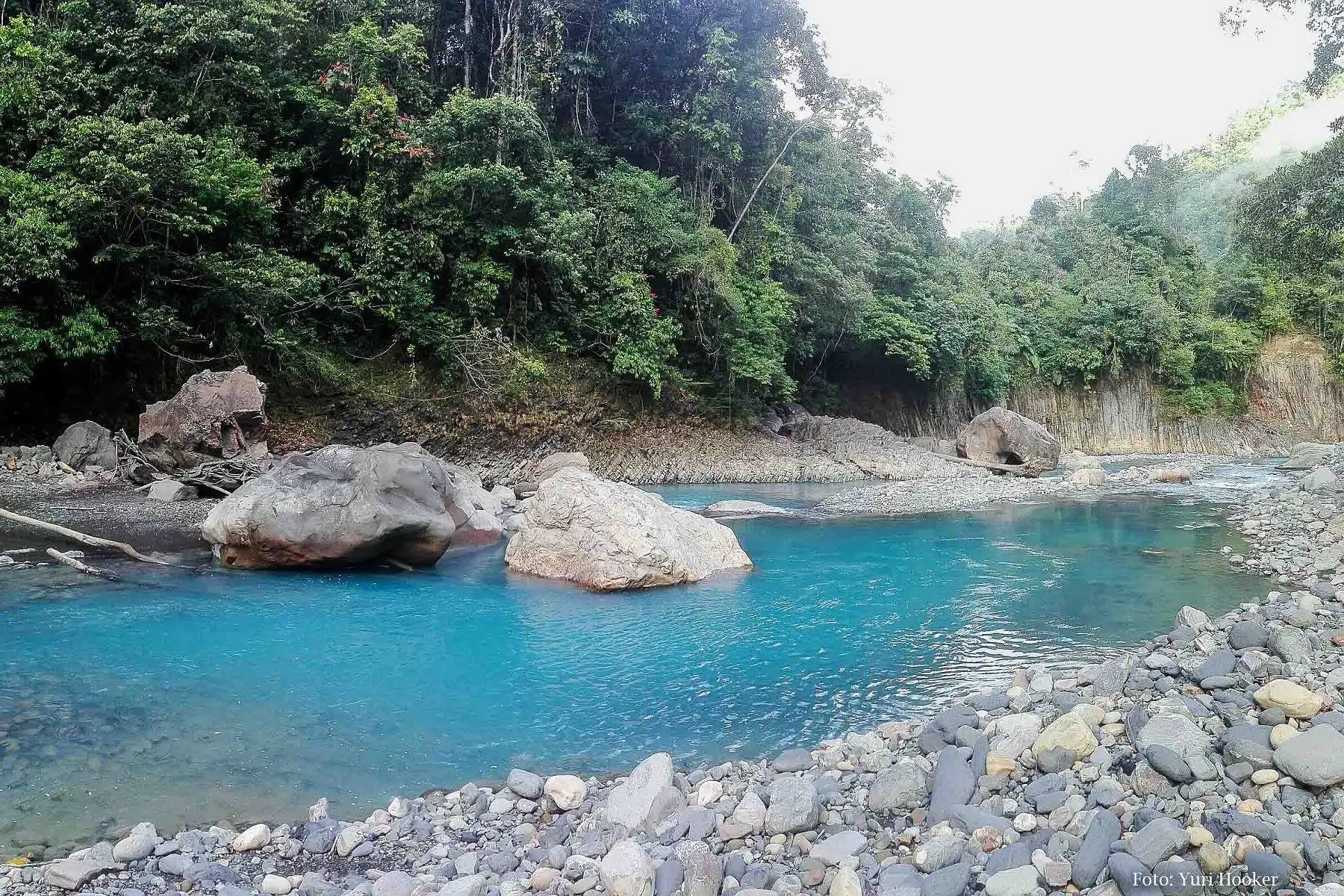Documental de investigación científica “Bajo Urubamba, el bosque de los misterios” Foto: Difusión