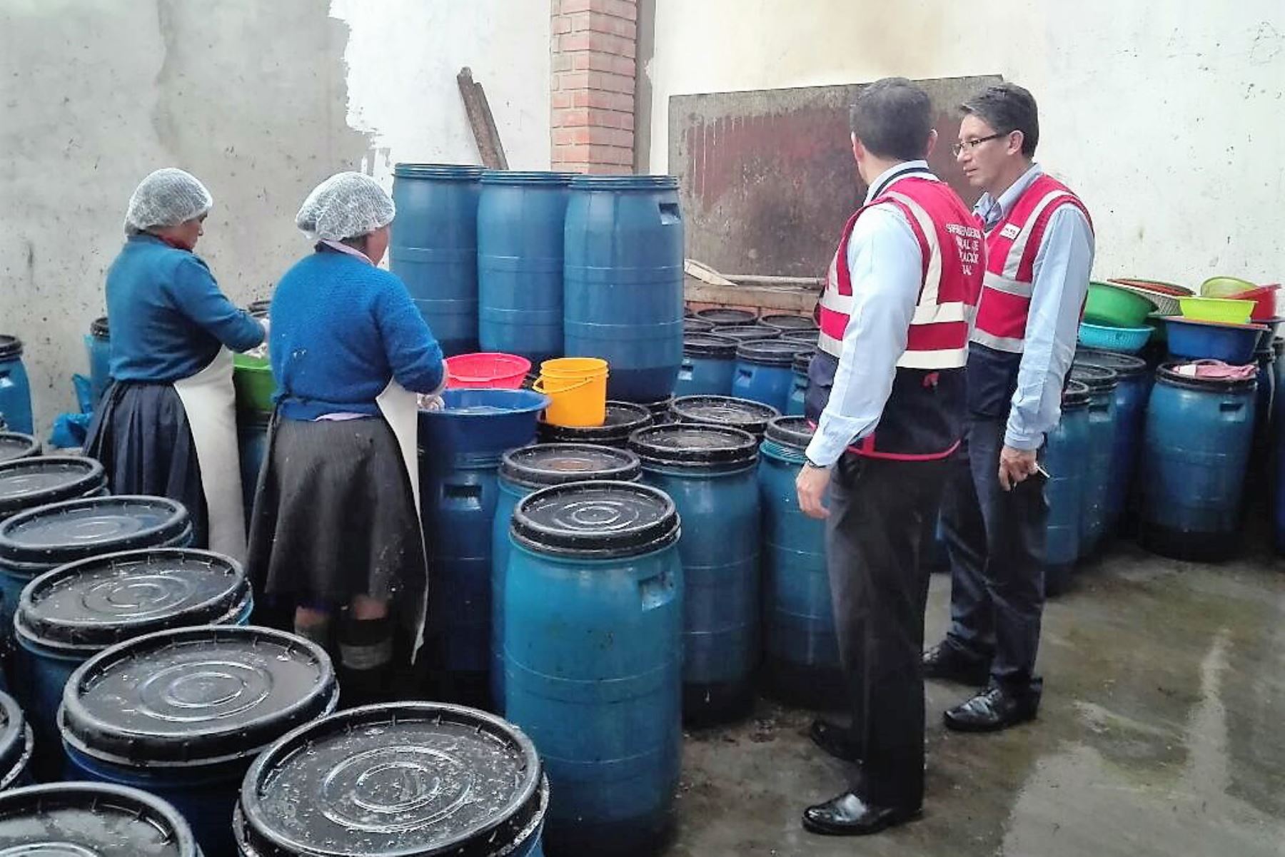 Sunafil halla a dos niñas trabajando en planta procesadora de Cajamarca. ANDINA/Difusión