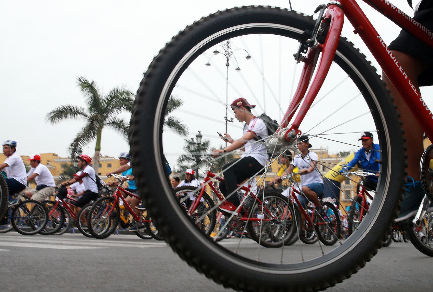 Bicicleteada por el Día de la Educación Básica Alternativa. Foto:  ANDINA/Norman Córdova