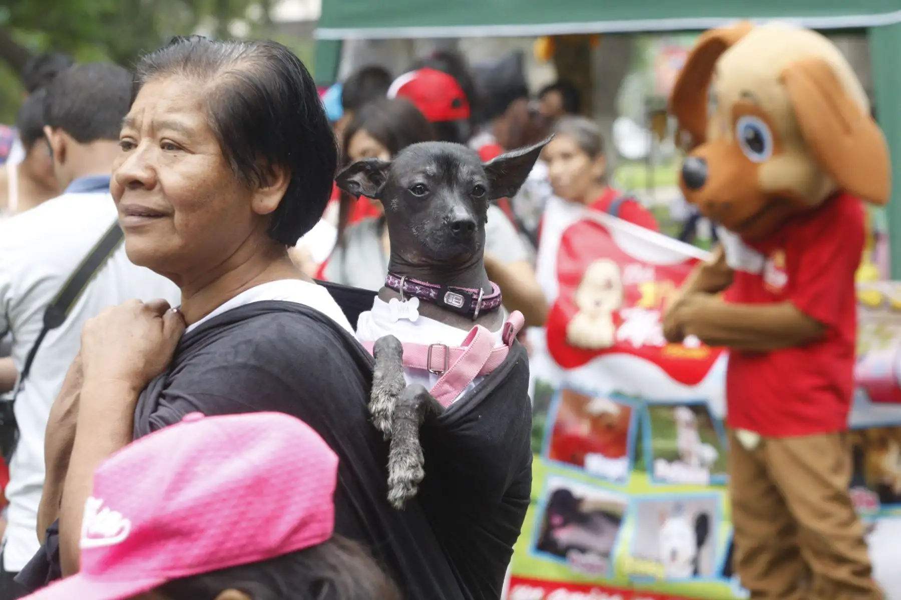 Municipalidad de Jesús Maria organiza "Kermese canina 2018". Foto: ANDINA/Eddy Ramos.