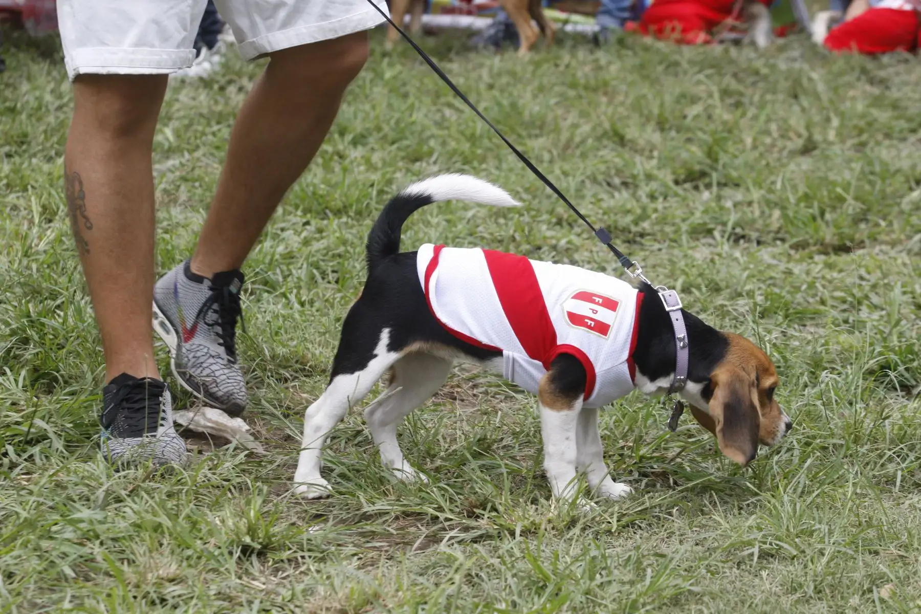 Municipalidad de Jesús Maria organiza "Kermese canina 2018". Foto: ANDINA/Eddy Ramos.