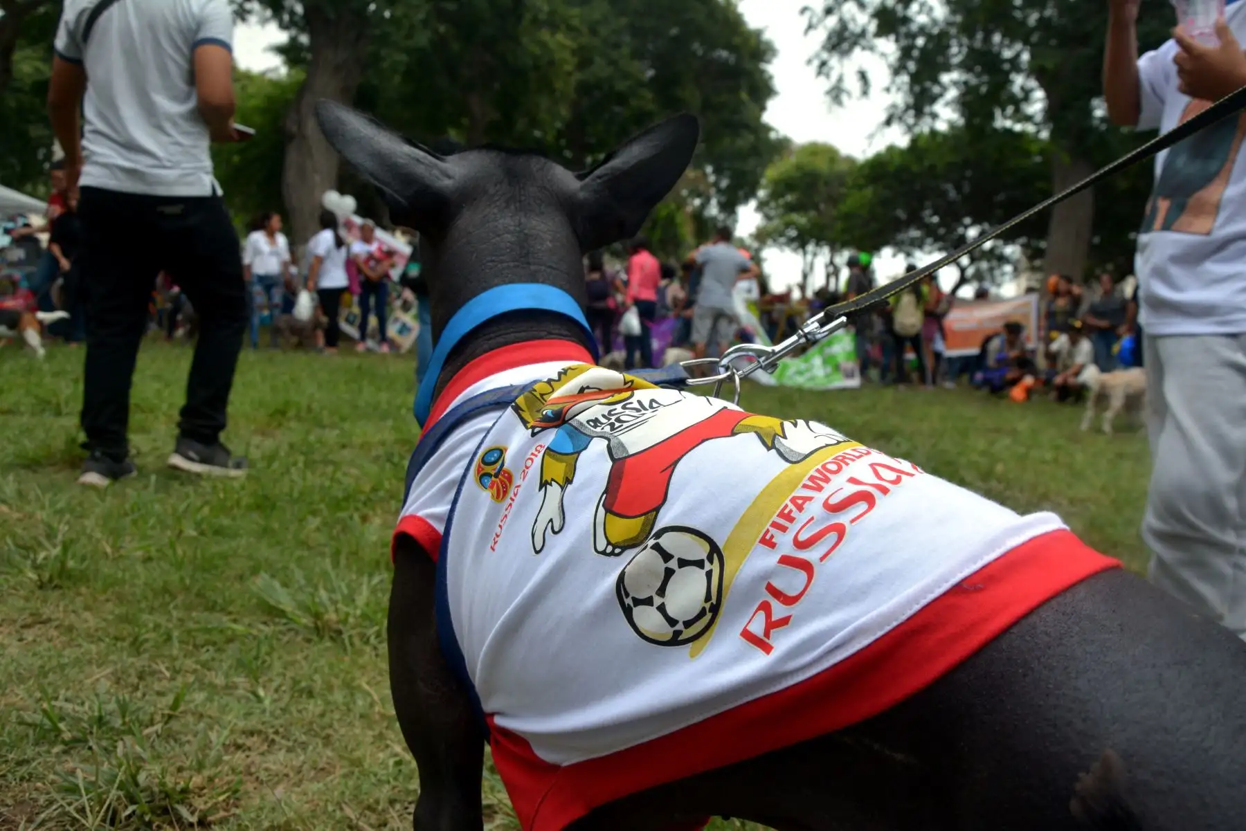 Municipalidad de Jesús Maria organiza "Kermese canina 2018". Foto: ANDINA/Eddy Ramos.