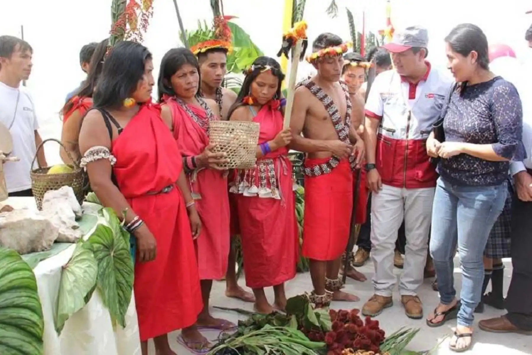 En región Amazonas, Foncodes financia 28 proyectos productivos de Noa Jayatai para 2 mil 629 hogares, con una inversión de 10 millones 176 mil 787 soles.