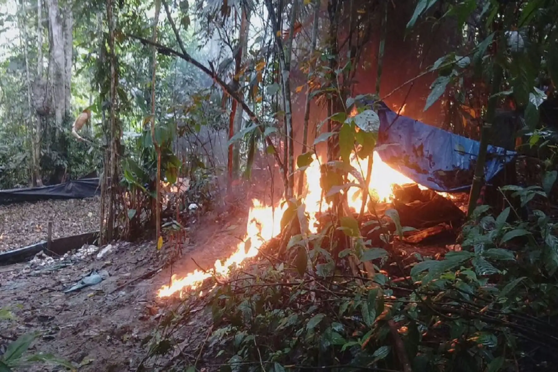 Las 11 toneladas de hoja de coca, los 3097 kilogramos de IQPF y los enseres encontrados fueron incinerados. Operativos permitieron  neutralizar 110 kilos de cocaína.
