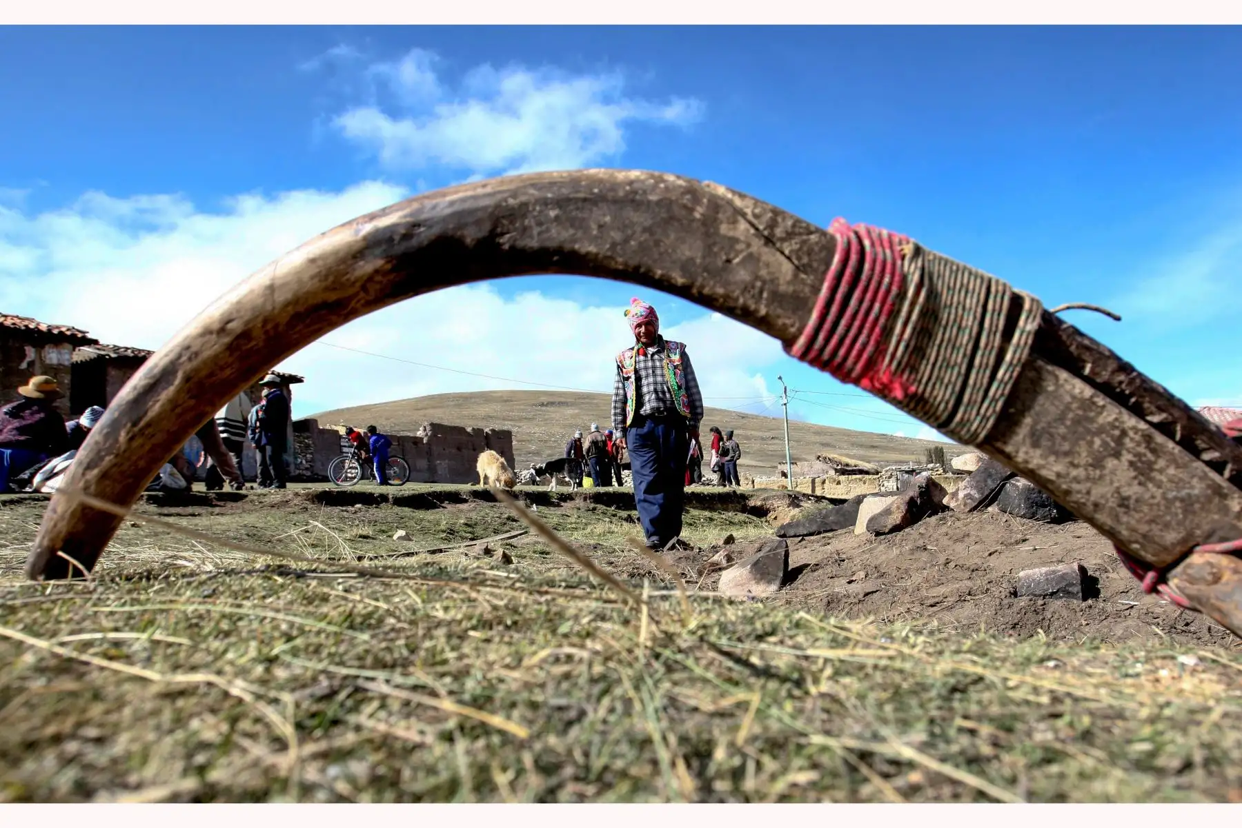 De acuerdo a la Encuesta Nacional de Hogares (Enaho), 3 millones 789 mil 500 personas, trabajan en el área rural. Ellos se encargan de alimentar a los casi 30 millones de peruanos. Foto: ANDINA/ Jack Ramón