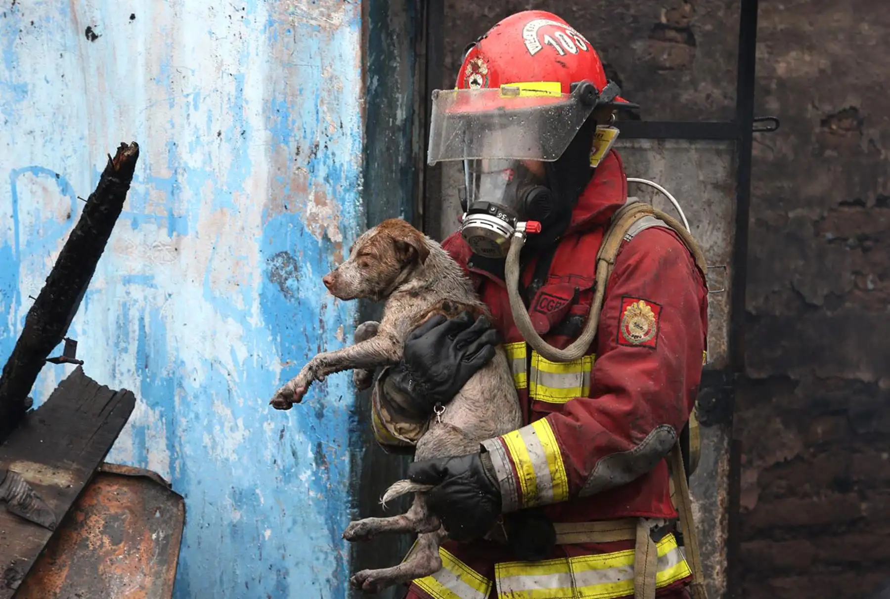 La labor altruista de los bomberos voluntarios, personas que donan su tiempo para salvar vidas, es uno de los trabajos más respetados por la sociedad peruana. 
 Foto: ANDINA/Melina Mejía