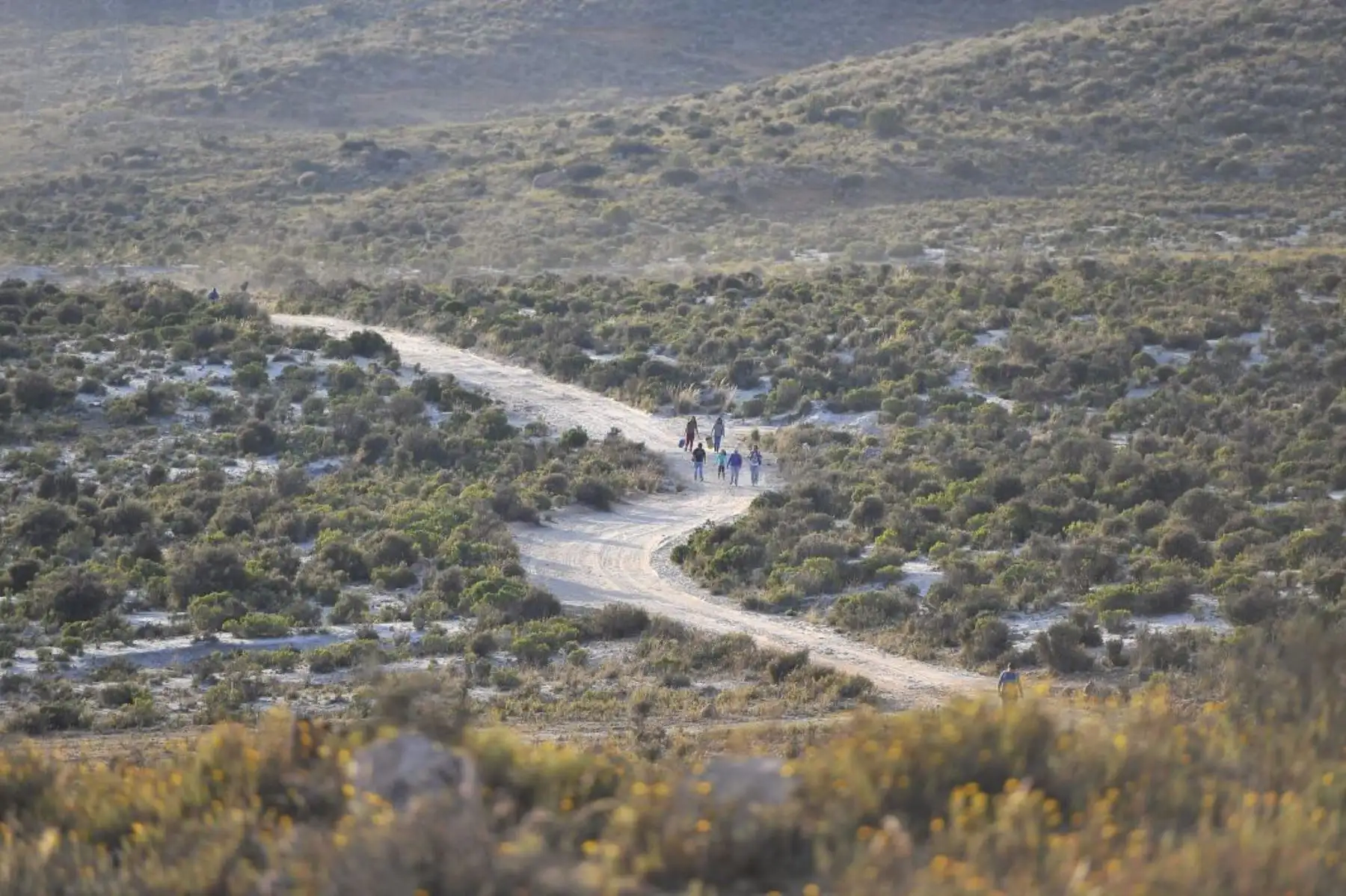 Chapi está ubicado a dos horas de viaje de la ciudad de Arequipa, a la zona se llega por una pista totalmente asfaltada. Foto:Cortesía/ Diego Ramos