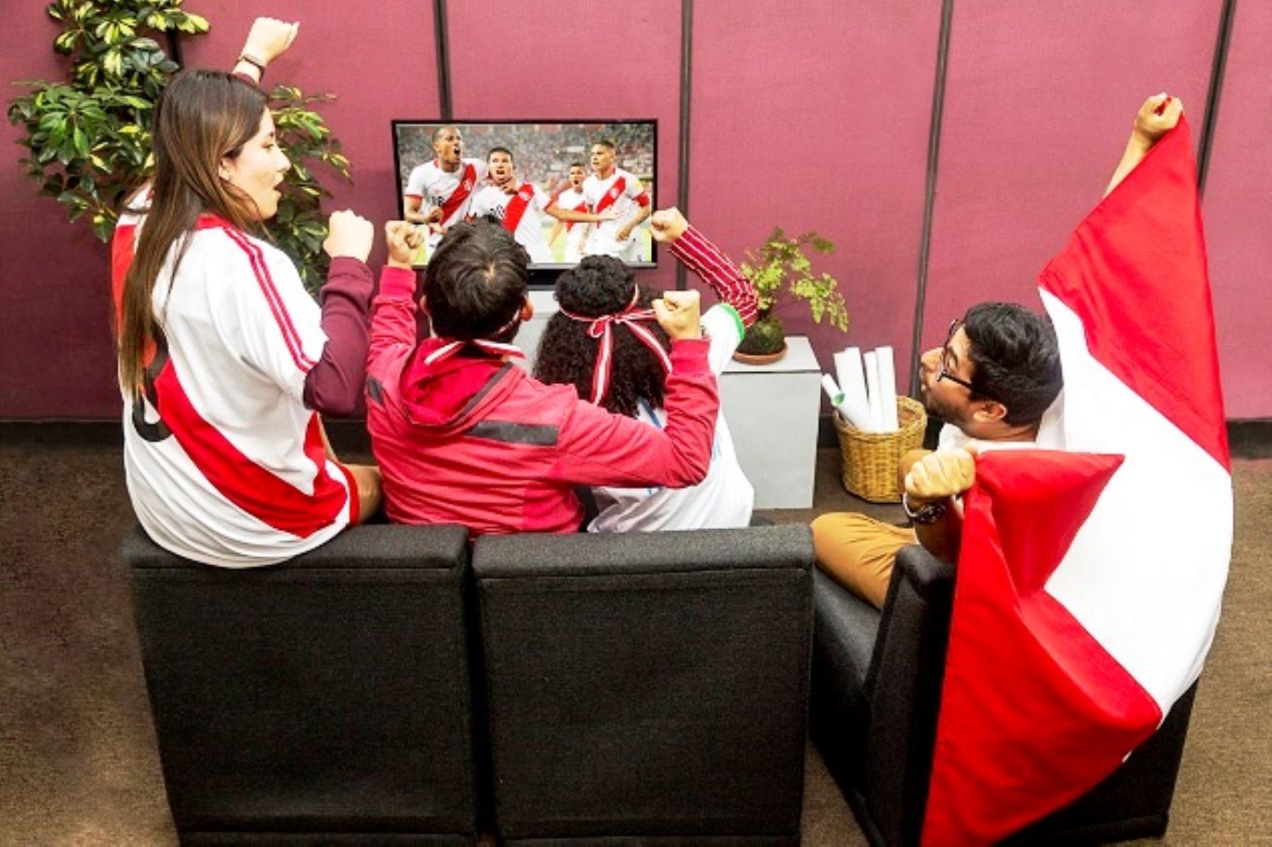 Expectativa por ver al Perú en el Mundial Rusia 2018 puede generar estrés. Foto: ANDINA/Difusión.