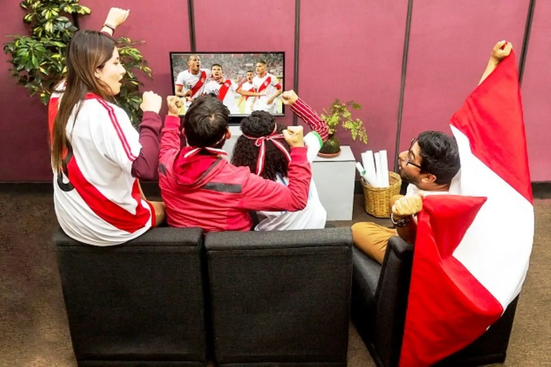 Expectativa por ver al Perú en el Mundial Rusia 2018 puede generar estrés. Foto: ANDINA/Difusión.
