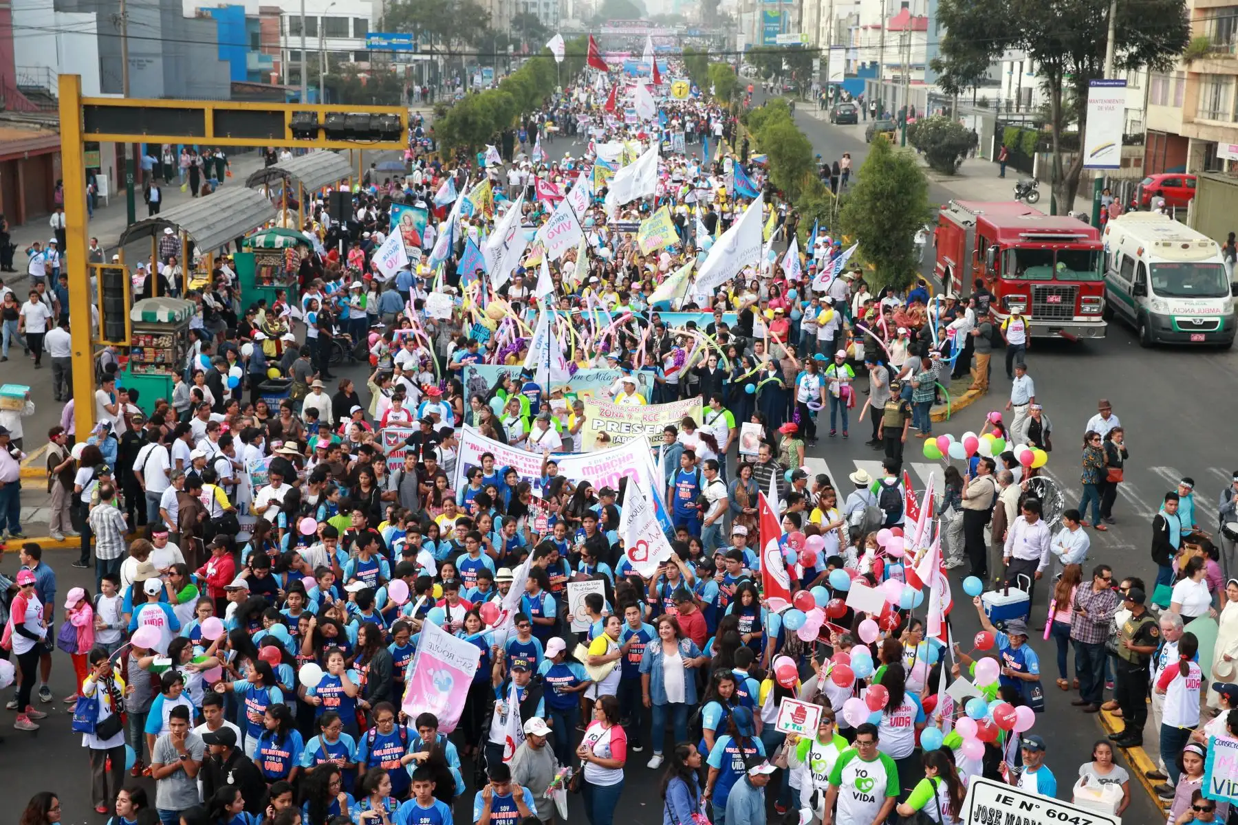 Marcha por la vida. Foto: ANDINA/Vidal Tarqui