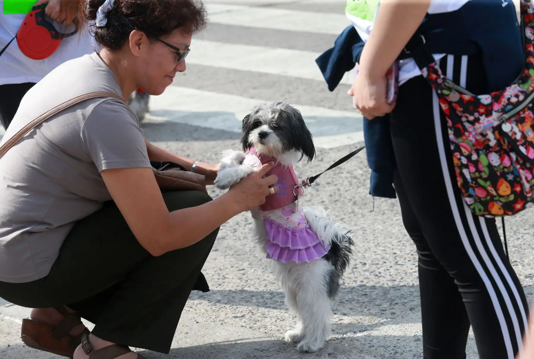 Vecinos de San Miguel y sus canes participaron en Mascotatón .Foto: ANDINA/Norman Córdova