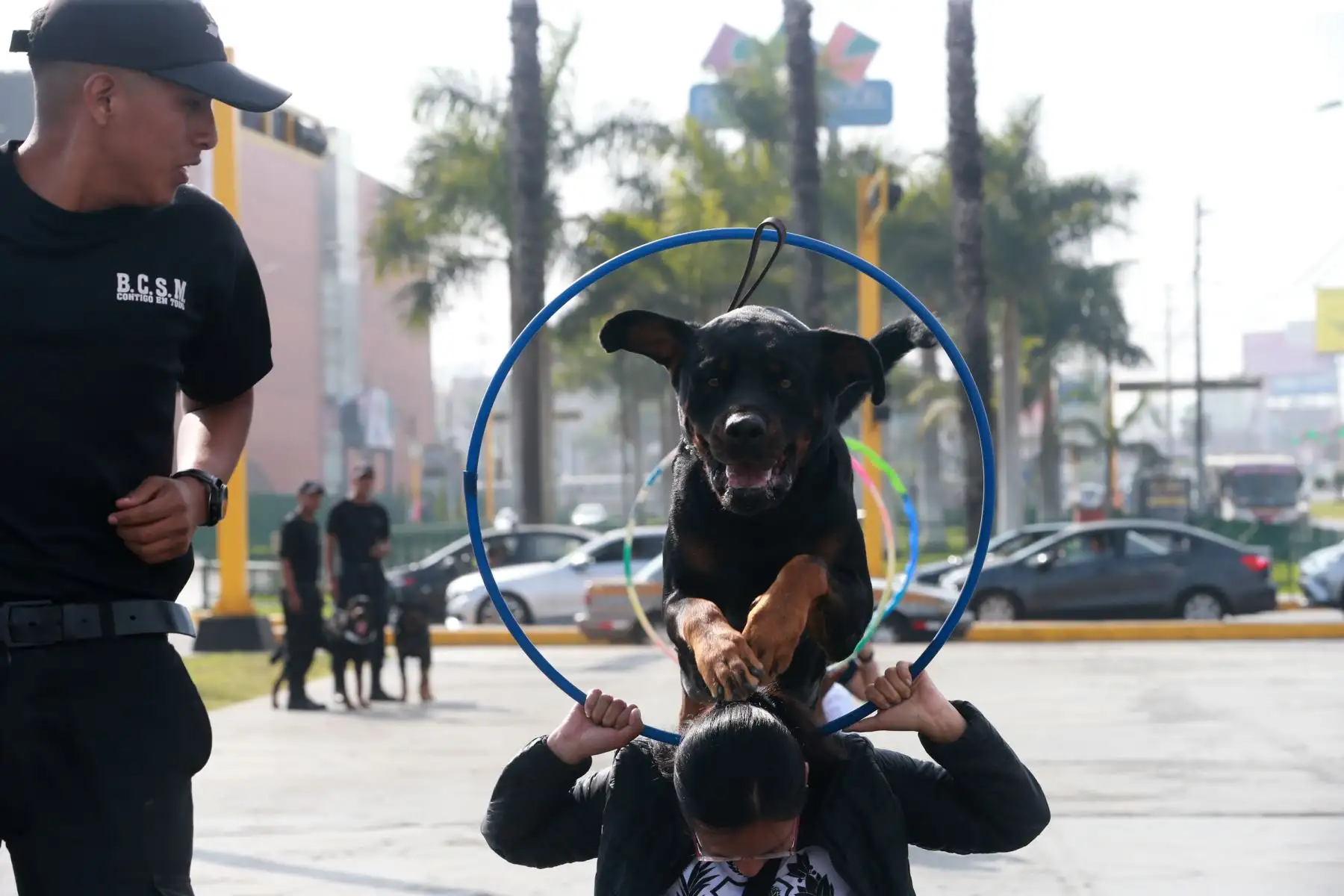 Vecinos de San Miguel y sus canes participaron en Mascotatón .Foto: ANDINA/Norman Córdova