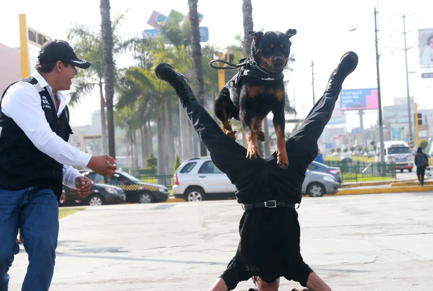 Vecinos de San Miguel y sus canes participaron en Mascotatón .Foto: ANDINA/Norman Córdova