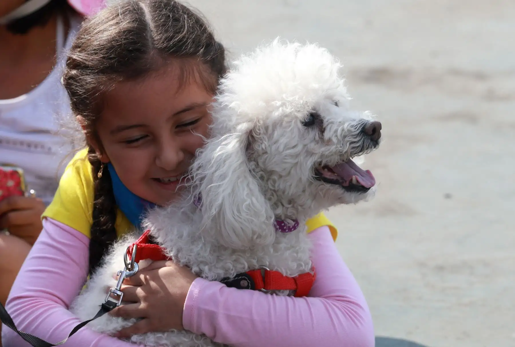Vecinos de San Miguel y sus canes participaron en Mascotatón .Foto: ANDINA/Norman Córdova