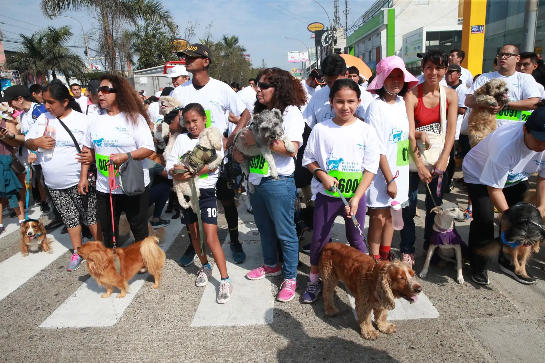 Vecinos de San Miguel y sus canes participaron en Mascotatón .Foto: ANDINA/Norman Córdova