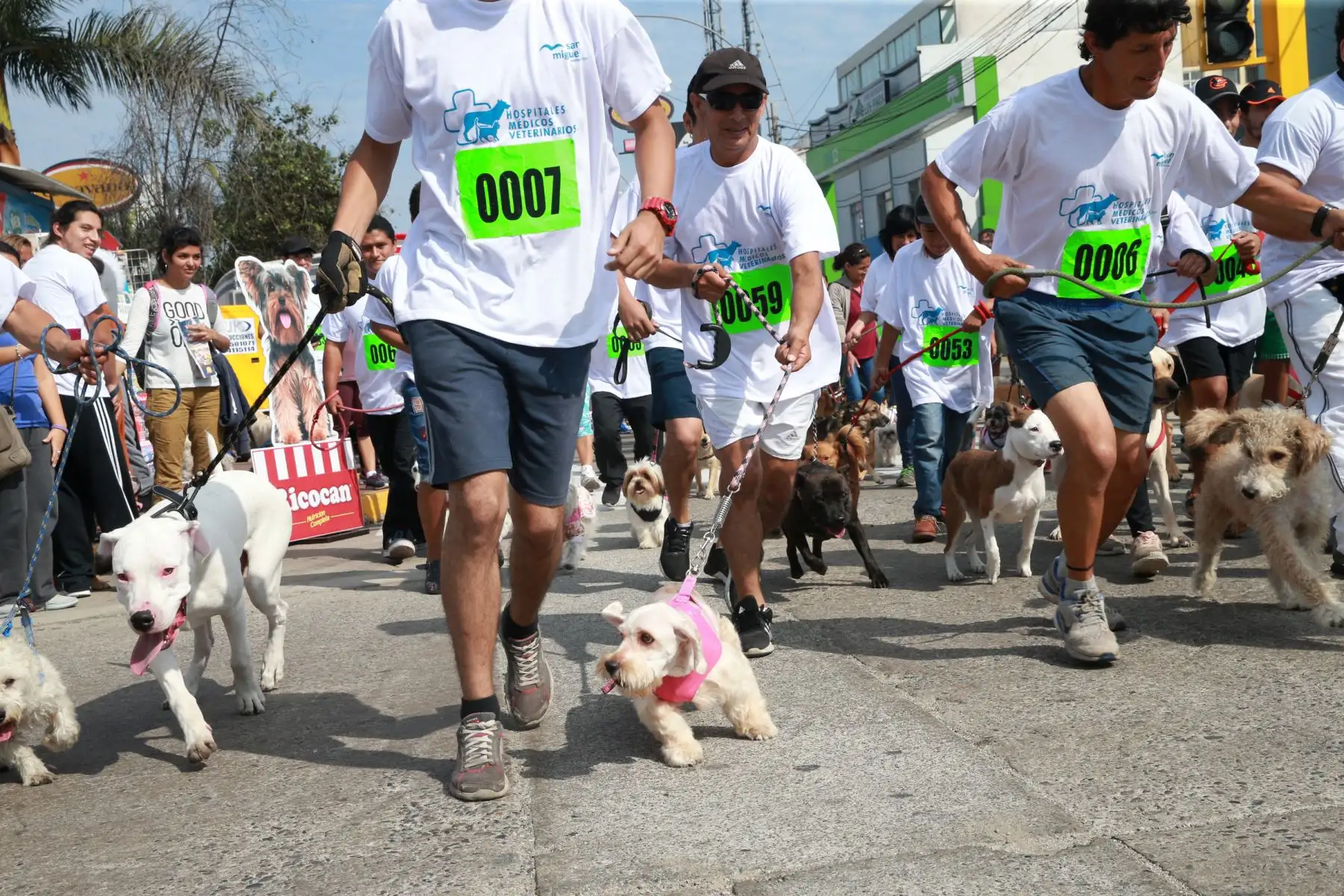 Vecinos de San Miguel y sus canes participaron en Mascotatón .Foto: ANDINA/Norman Córdova