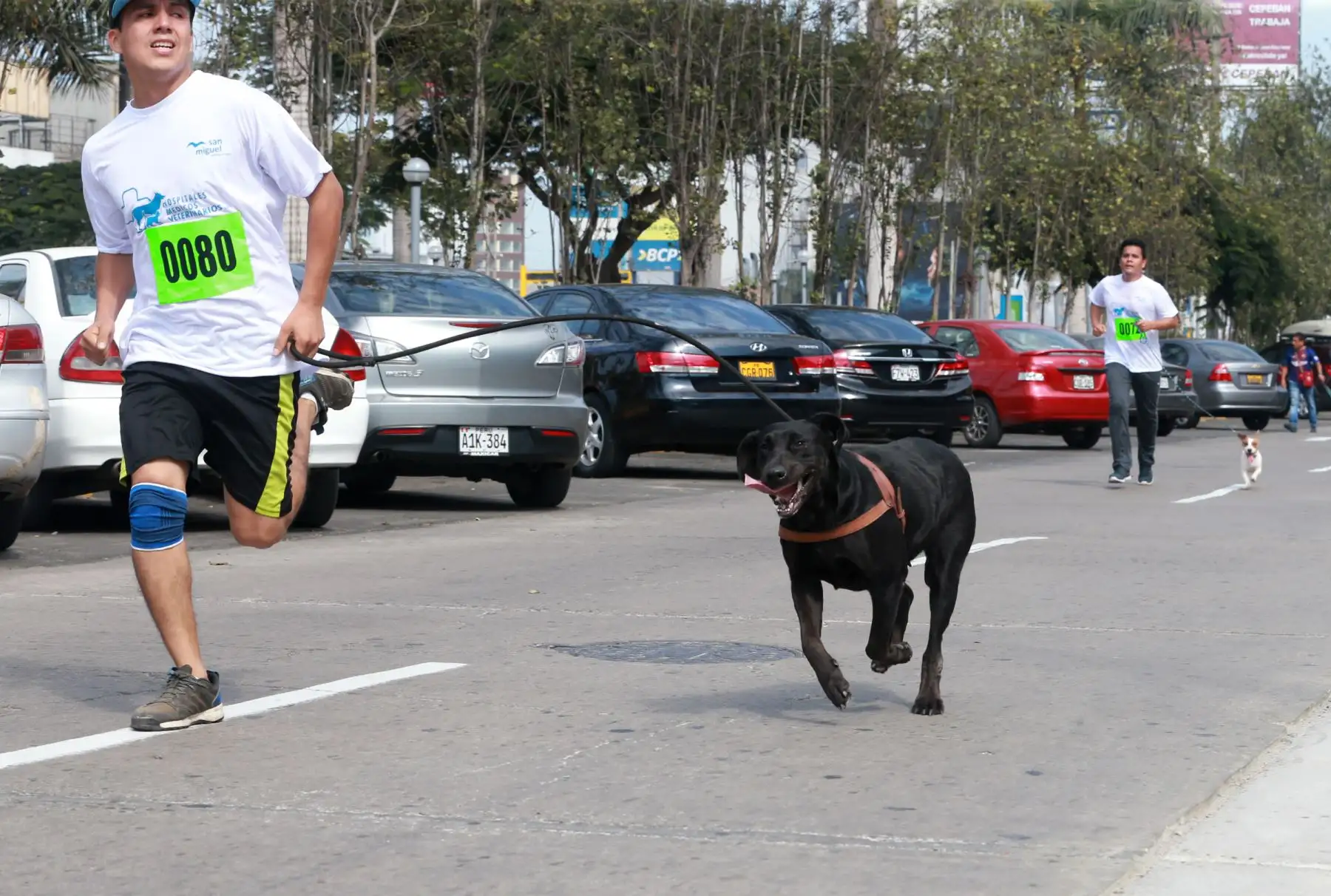 Vecinos de San Miguel y sus canes participaron en Mascotatón .Foto: ANDINA/Norman Córdova
