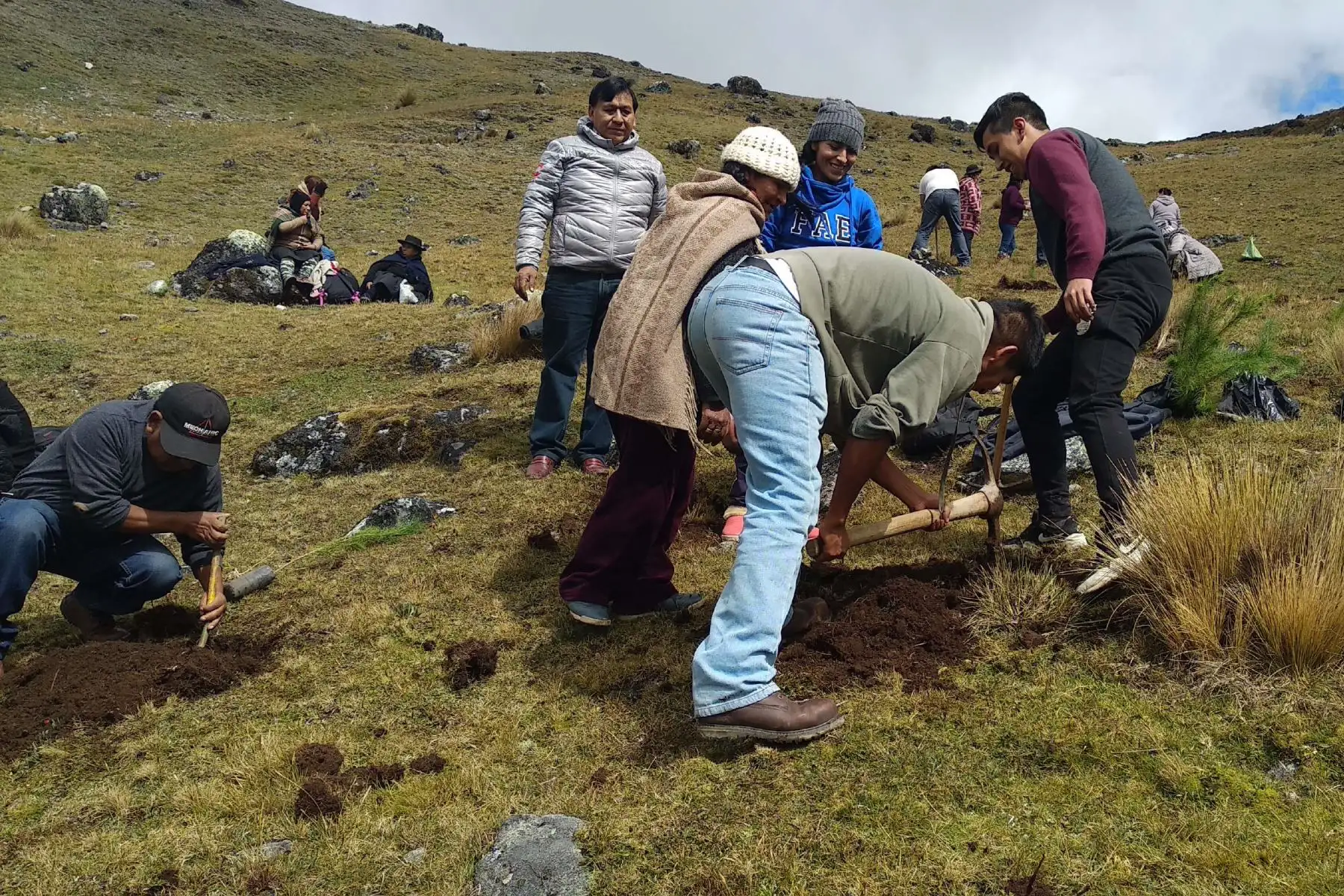 Siembran 500 plantones en Área de Conservación Regional Huaytapallana. ANDINA/Pedro Tinoco