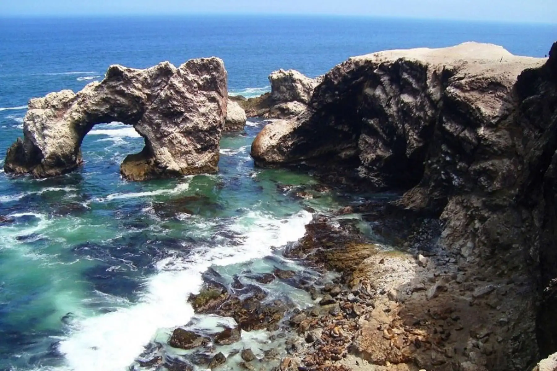 Hoy la Reserva Nacional San Fernando cumple 11 años conservando una zona privilegiada en la que confluyen ecosistemas de la costa y la sierra peruana, logrando ver en un mismo paisaje a lobos marinos, guanacos y al majestuoso cóndor andino. ANDINA/Difusión