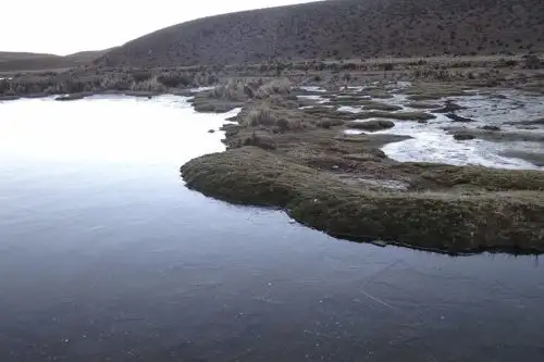 Puno en alerta por presencia de heladas y bajas temperaturas. Foto:  ANDINA/Difusión.
