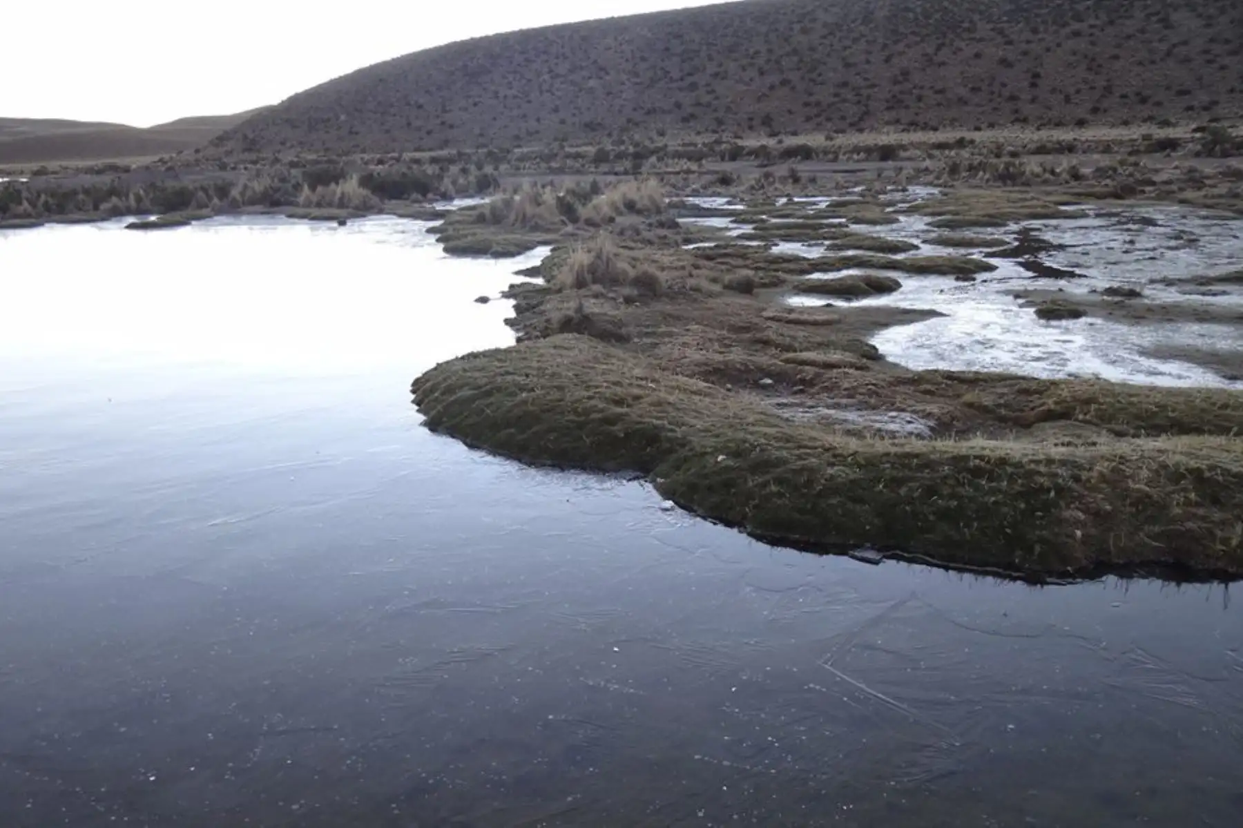 Puno en alerta por presencia de heladas y bajas temperaturas. Foto:  ANDINA/Difusión.