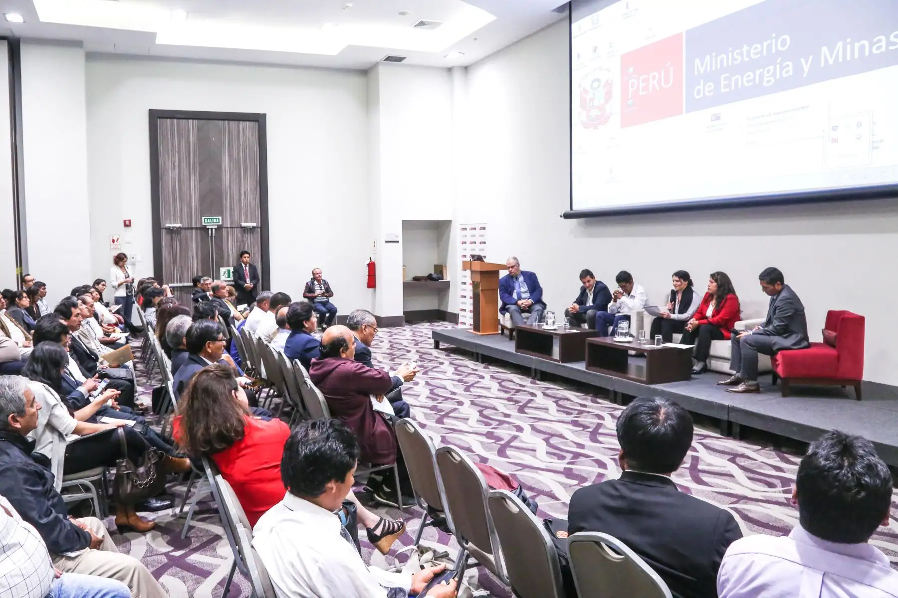 Foro: Pequeña minería aluvial: retos y posibilidades a la luz de la experiencia internacional - MEM Cortesía