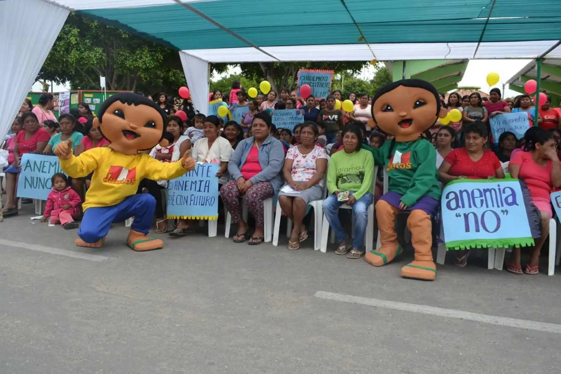 Con el objetivo de impulsar la lucha contra la anemia de manera articulada con sus aliados estratégicos, el programa Juntos realizó en el distrito de La Arena, región Piura, la feria informativa denominada “Juntos contra la Anemia”, la misma que busca mostrar estrategias y acercar los servicios del Estado para reducir este mal.