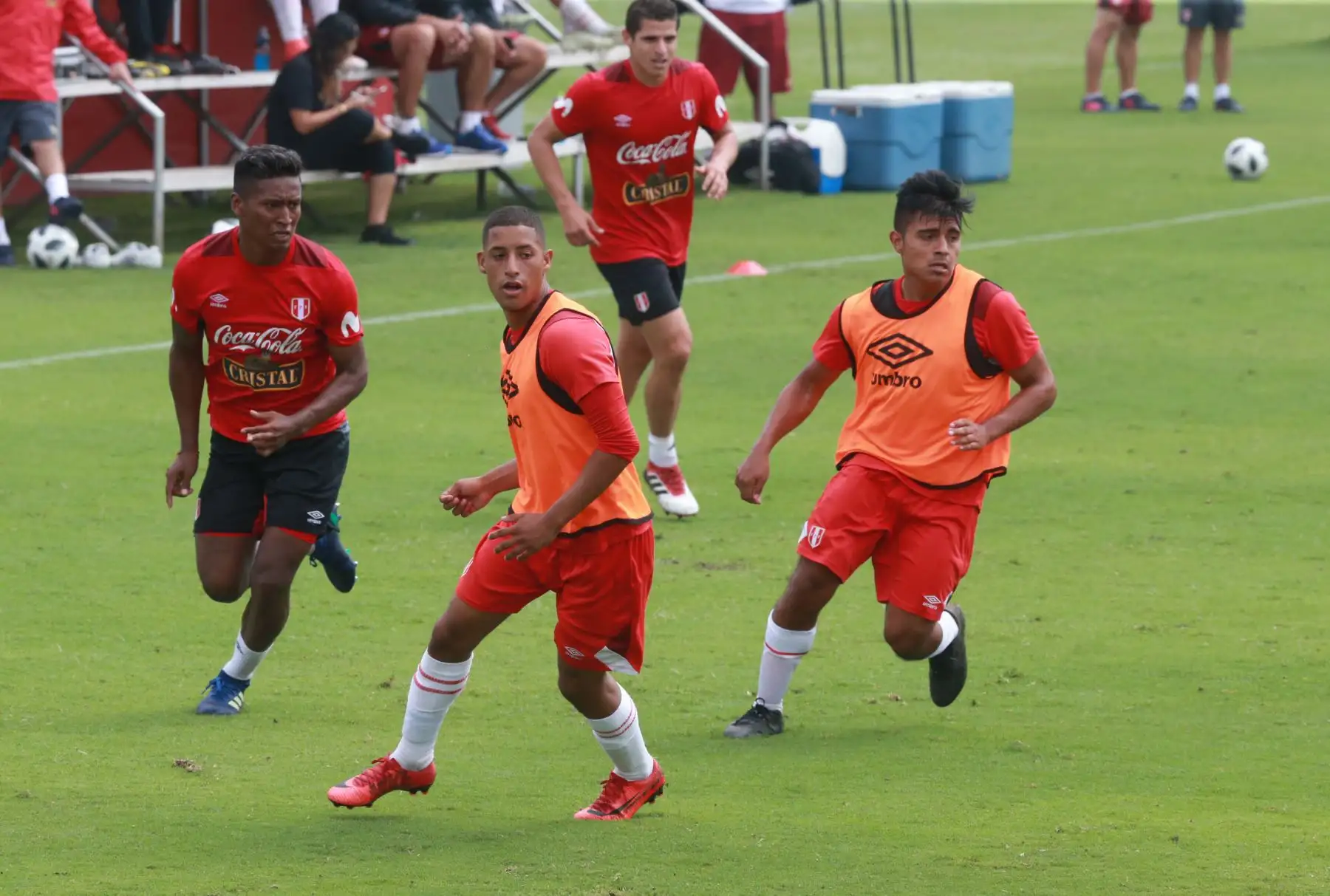 En una entrevista a "CNN en Español",
el técnico de la selección peruana, Ricardo Gareca, aseguró que su escuadra está en la capacidad de hacerle un gran partido a Francia, su segundo rival en el grupo C del Mundial de Rusia 2018. Foto: ANDINA/Norman Córdova.