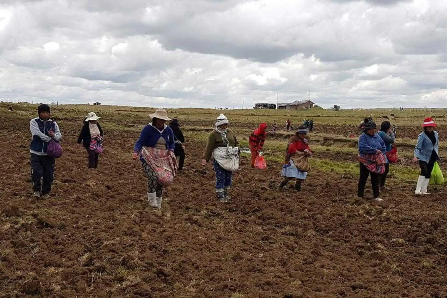 Pequeños agricultores. ANDINA/Difusión