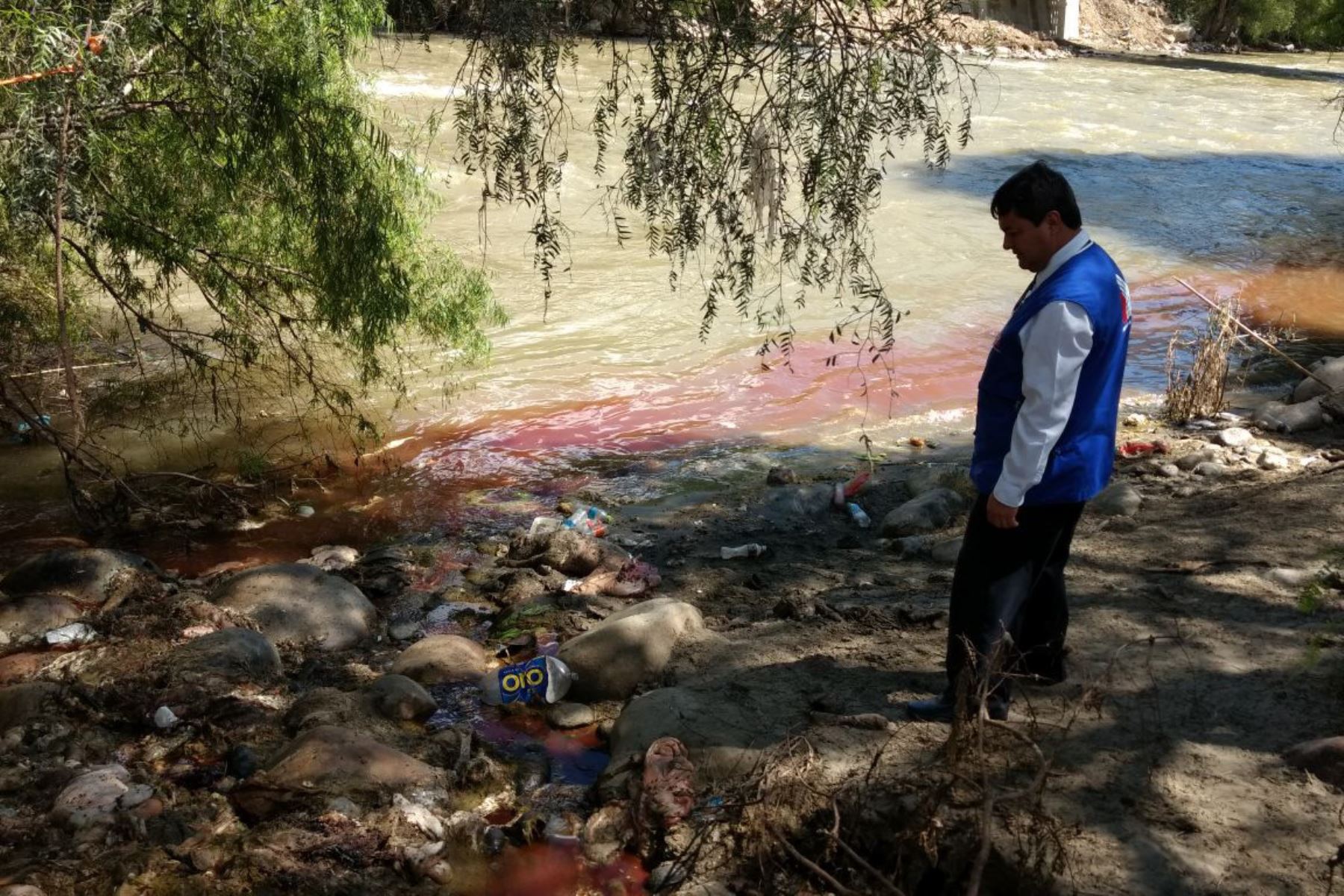 Matadero municipal de Huánuco causa grave contaminación del río Huallaga. ANDINA/Difusión