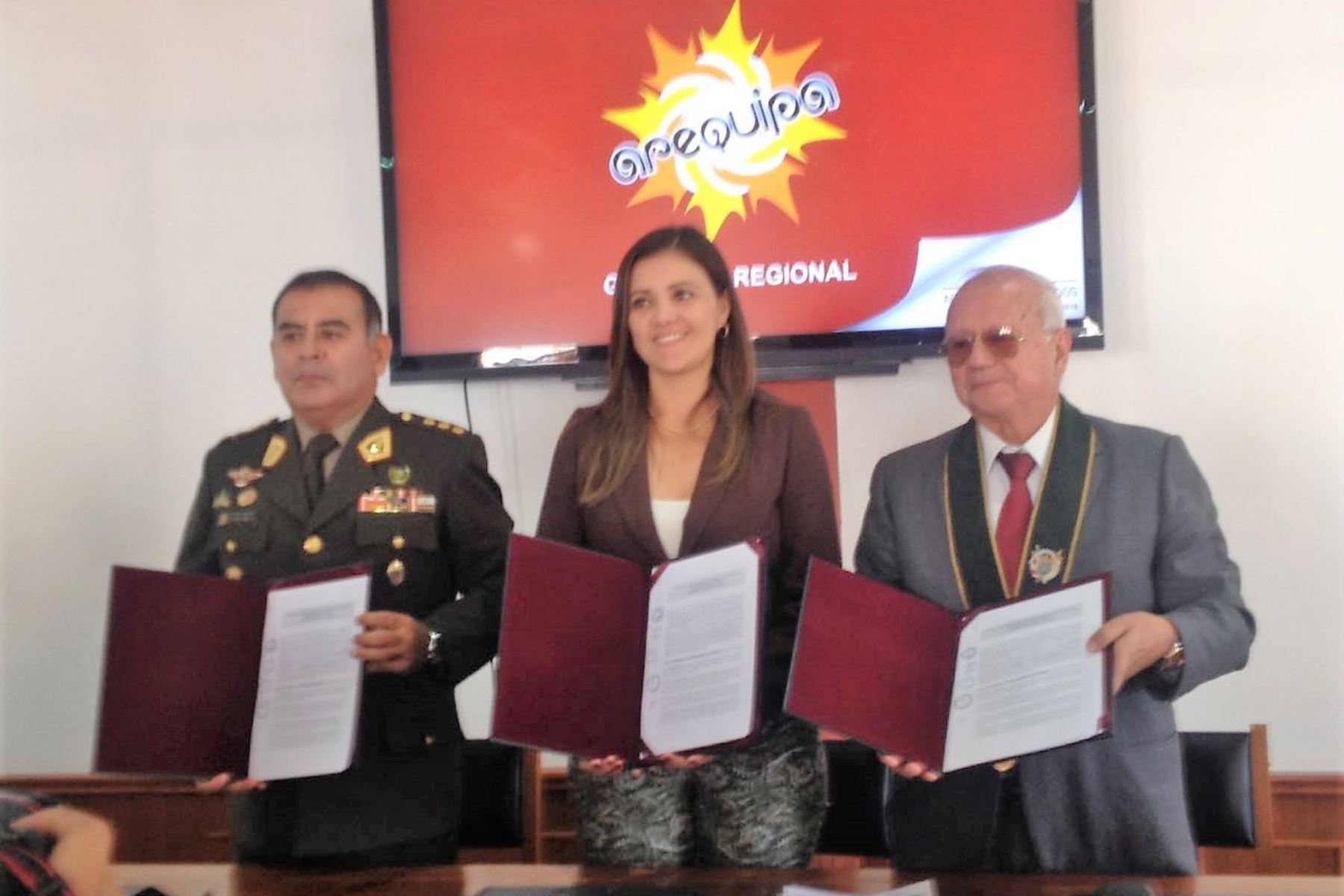 Arequipa será sede de primera conferencia de seguridad y gestión de riesgo de desastres.Foto:  ANDINA.