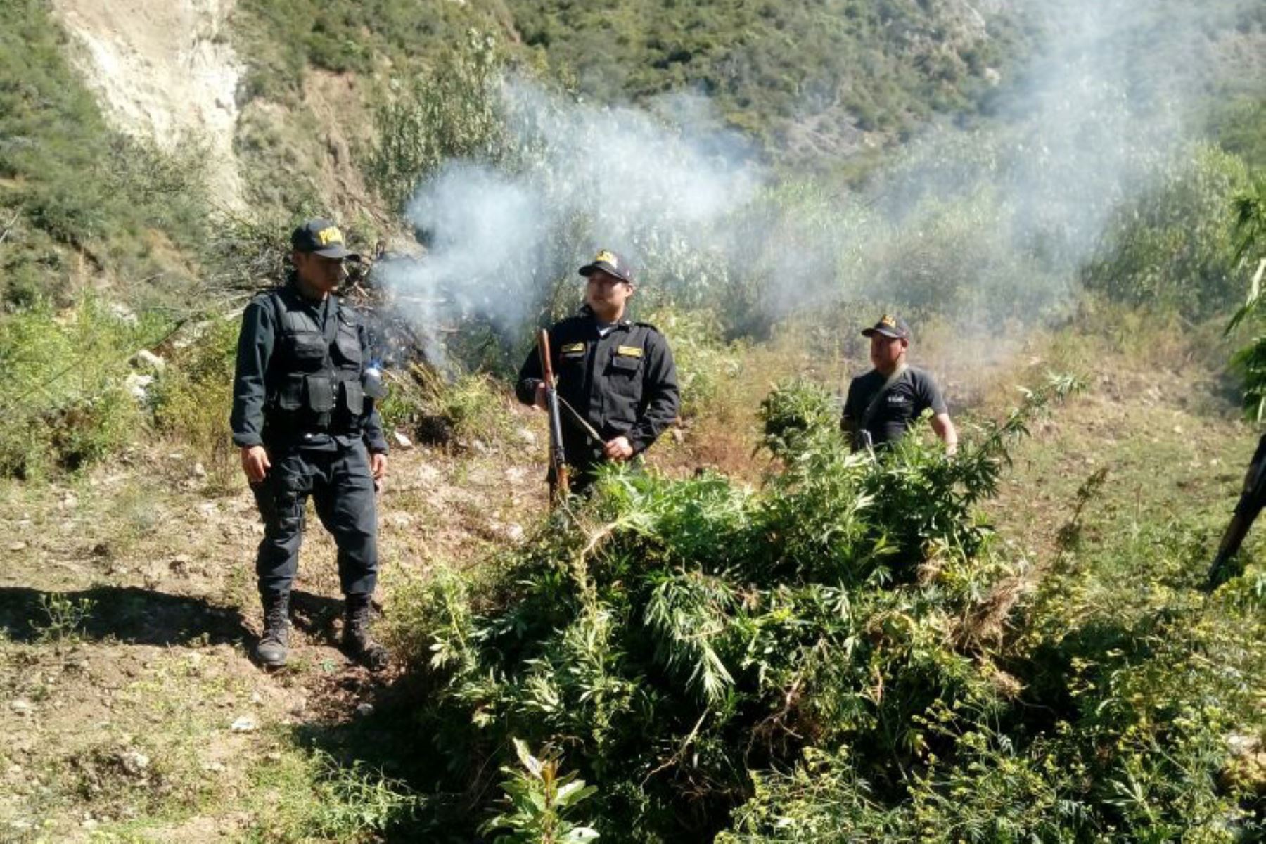 En un operativo realizado en el Valle de los ríos Apurímac, Ene y Mantaro (Vraem), agentes de la Policía Nacional del Perú (PNP) decomisaron 160 paquetes de cocaína y detuvieron a siete personas en el distrito de Kimbiri, ubicado en la provincia cusqueña de La Convención.