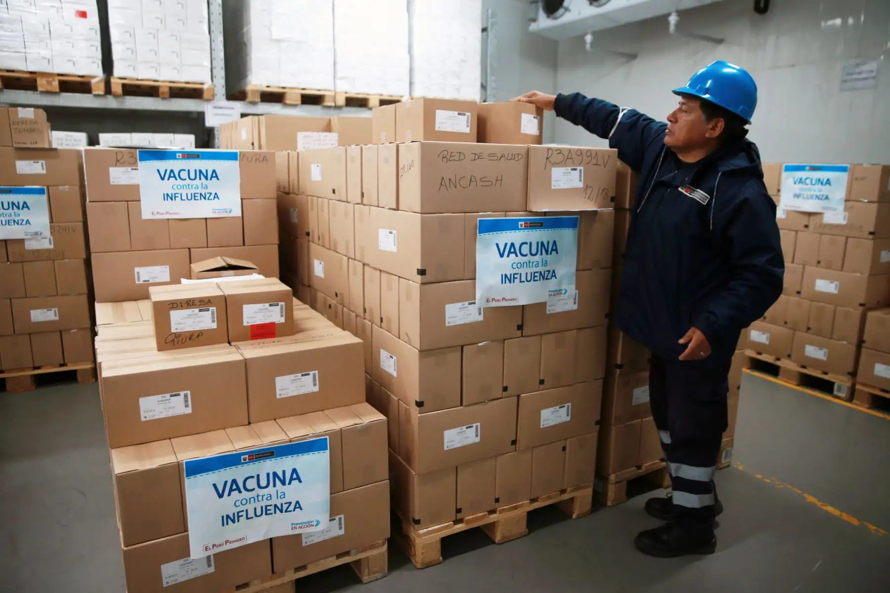 La distribución de vacunas contra la influenza para todas las regiones del país, supera un  monto de S/ 194.3 millones .Foto: ANDINA/Norman Córdova
