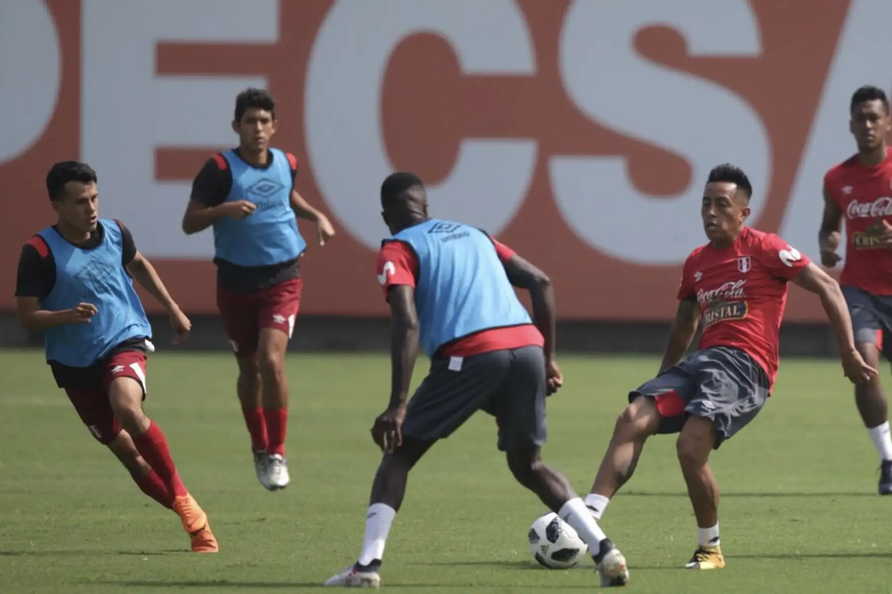 Selección peruana continuó con los entrenamientos  en el complejo deportivo de  la Videna. Foto:ANDINA/ Twiter FPF