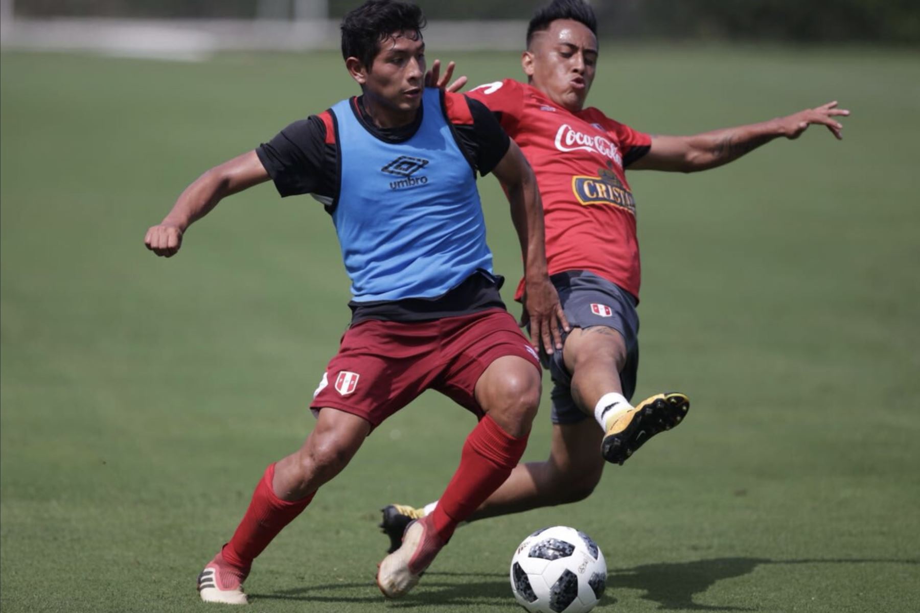 Selección peruana continuó con los entrenamientos  en el complejo deportivo de  la Videna. Foto:ANDINA/ Twiter FPF