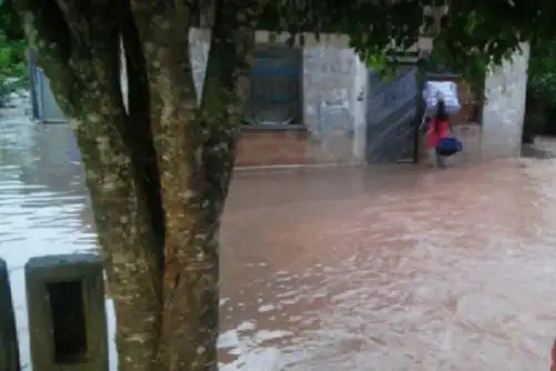Distrito de Campoverde, de la provincia de Coronel Portillo, en Ucayali. Foto: ANDINA/Difusión
