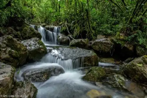 El Ministerio del Ambiente (Minam) reconoce “a la madre Tierra como maestra en el fomento de la educación ambiental para la formación de valores, actitudes y empatía ambiental en favor de la vida y la naturaleza”. Foto: ANDINA/difusión.